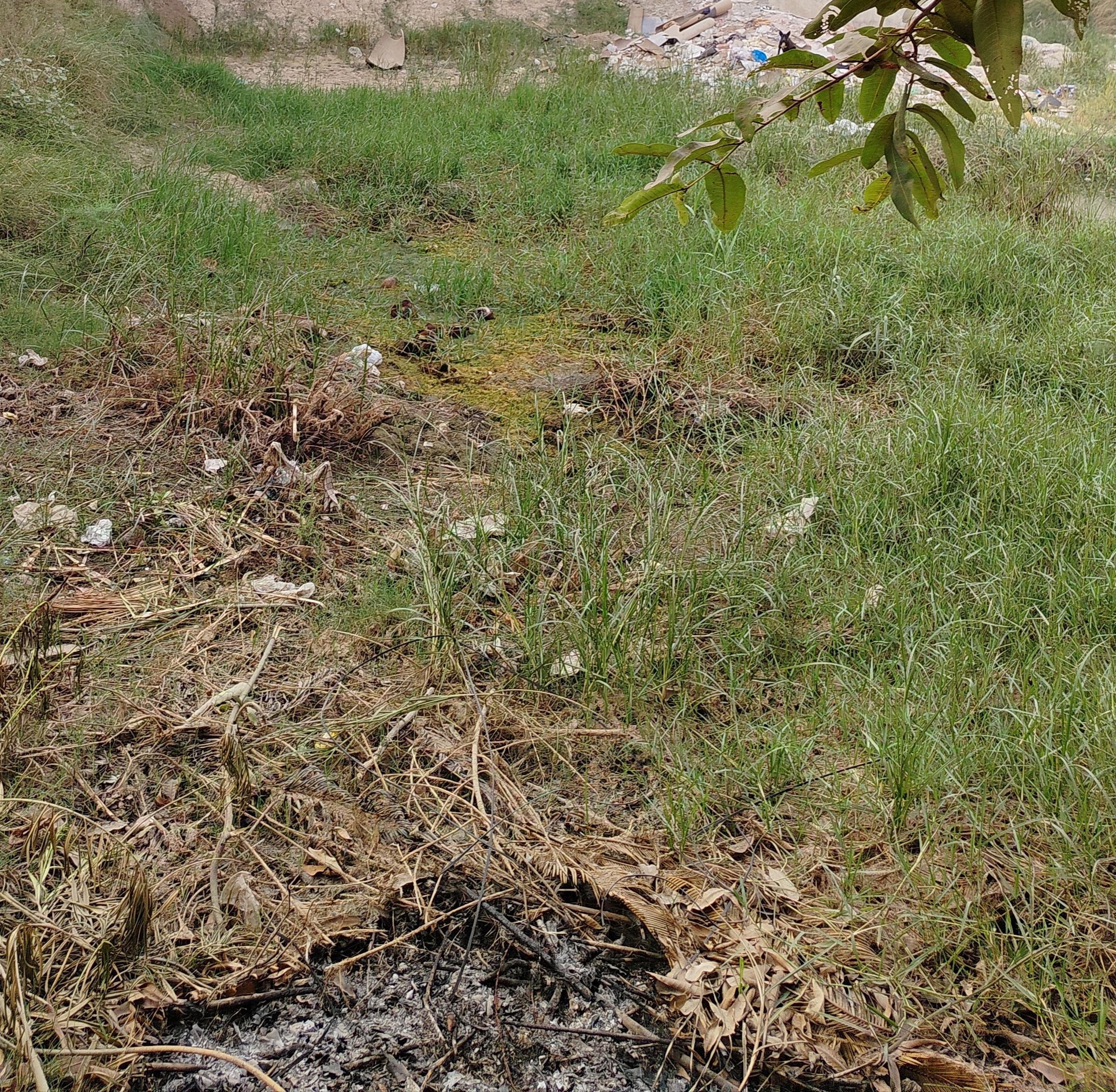 Plot For Sale in Sector 2