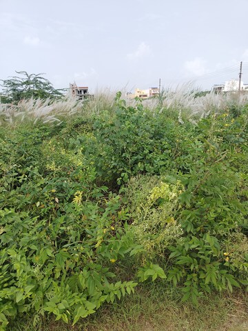  Plot For Sale in Sector 2