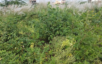 Plot For Sale in Sector 2