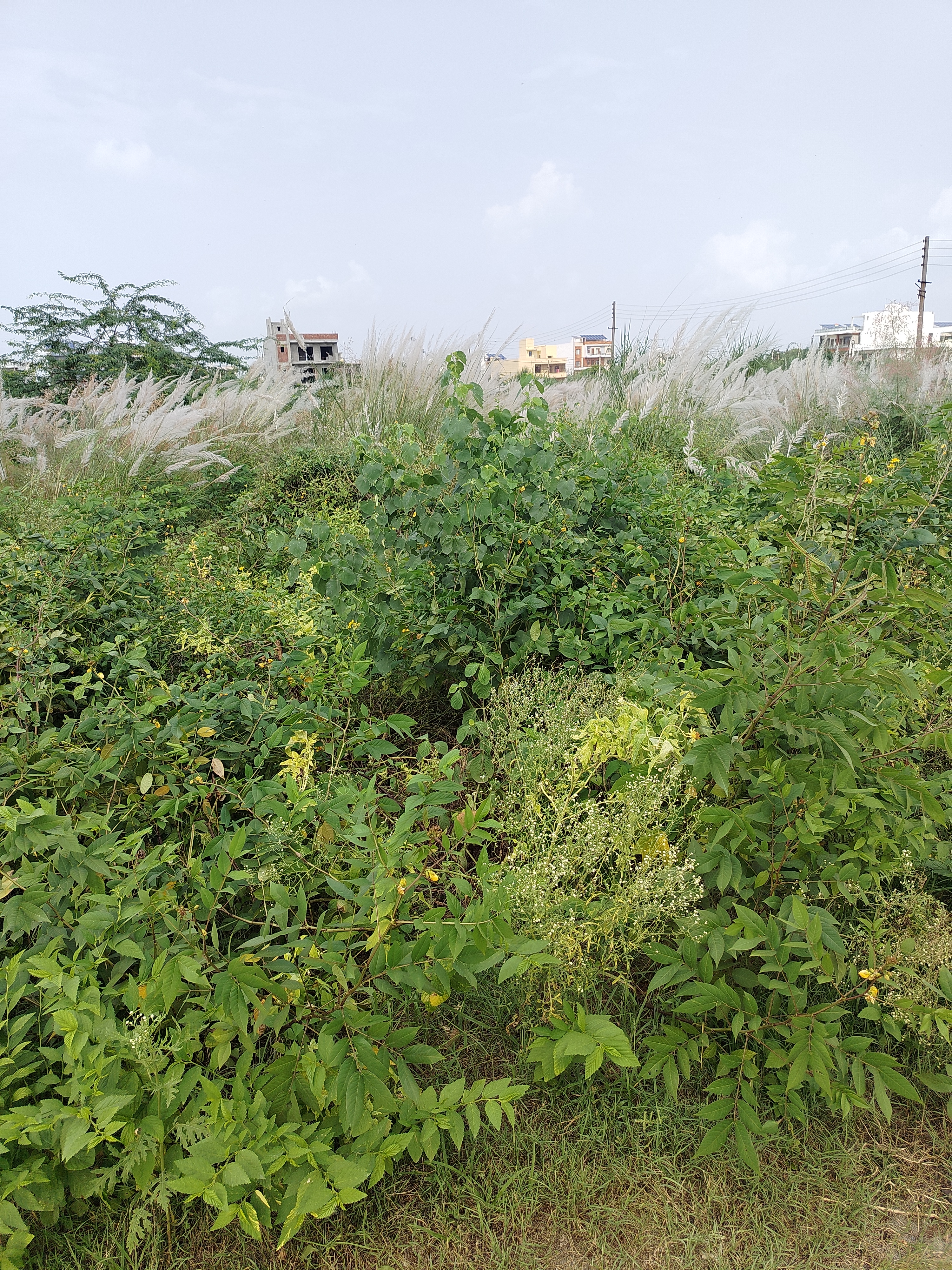 Plot For Sale in Sector 2