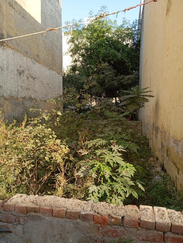 undefined, sector 110  80 Sq.Yd. Plot In Sector 110 Gurgaon 7914779
