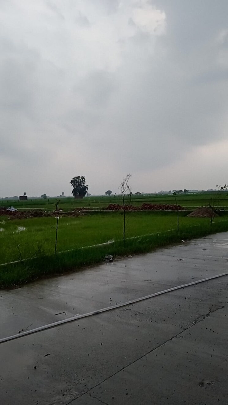 undefined, jewar  380 Sq.Yd. Plot In Jewar Greater Noida 7914804
