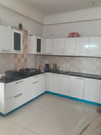 2 BHK Apartment For Rent in Saya Zion Noida Ext Sector 4 Greater Noida  7914933