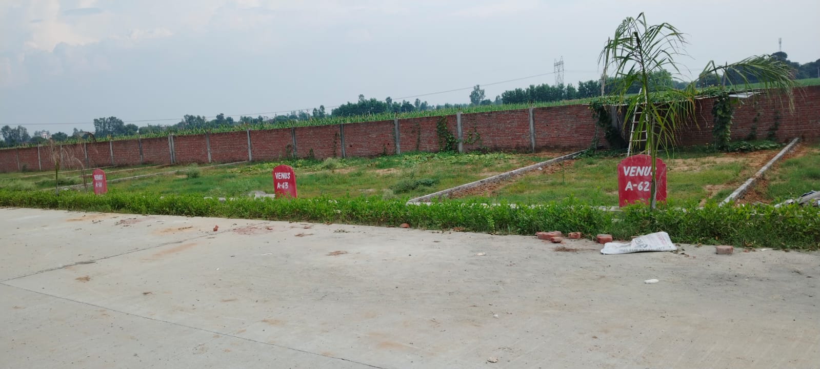Plot For Sale in Sector 82