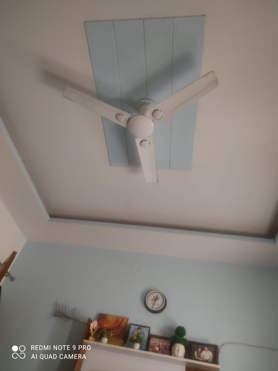 5 BHK + Study Room 84 Sq.Yd. Independent House in 4 Marla