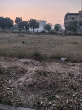 Plot For Resale in Sector 36 Panipat  7915771