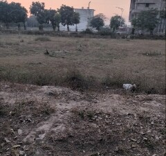 Plot For Sale in Sector 36