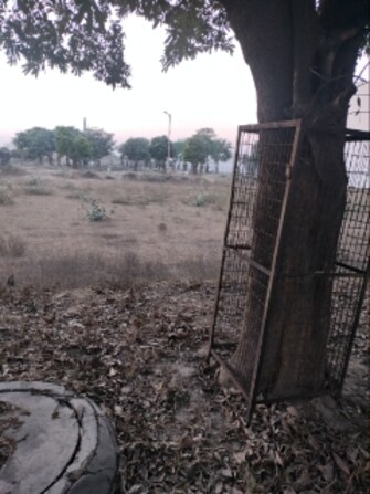 Plot For Resale in Sector 36 Panipat  7915797