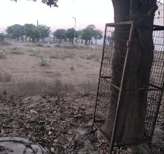 Plot For Sale in Sector 36