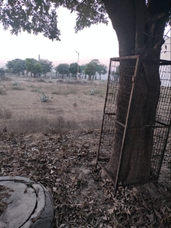 Plot For Sale in Sector 36