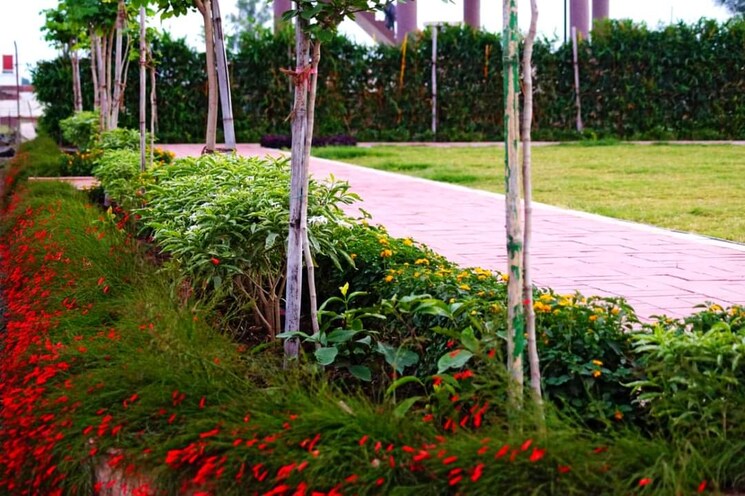 Garden, ujjain road  600 Sq.Ft. Plot In Ujjain Road Indore 7915869