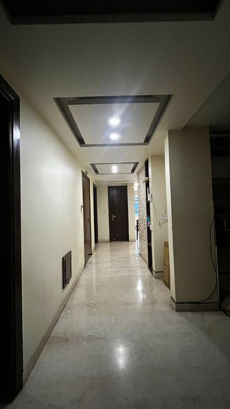 5 BHK Penthouse For Rent in Salcon The Verandas Sector 54 Gurgaon  7915872