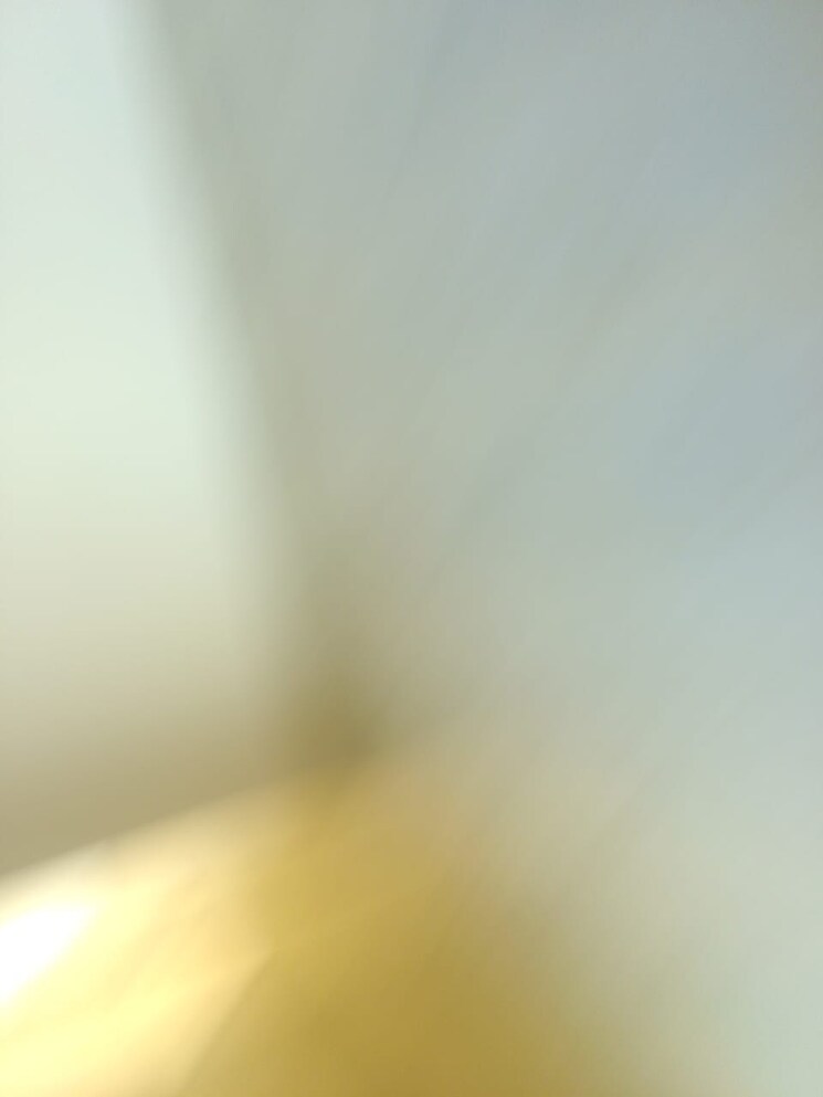 Room, megapolis-sparklet 1 Bedroom 500 Sq.Ft. Apartment In Hinjewadi Pune 7915970