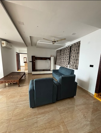 3 BHK Apartment For Rent in Aliens Space Station Tellapur Hyderabad  7915968