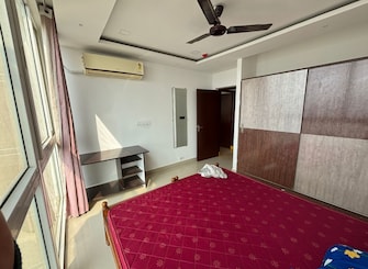 3 BHK Apartment For Rent in Aliens Space Station Tellapur Hyderabad  7915968