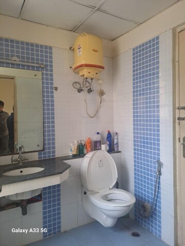 Bathroom in 2 BHK Apartment at Bestech Park View Residency, Sector 3 – for Rent