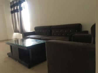 3 BHK Apartment For Rent in Aerocity Mohali  7916101