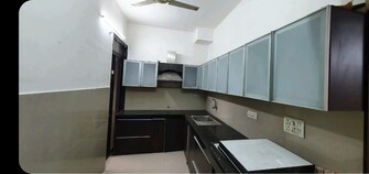 3 BHK Apartment For Rent in Progressive Group Crown Kopar Khairane Navi Mumbai  7916153