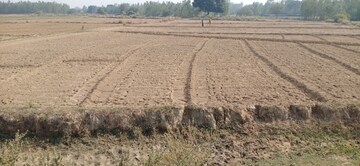 Plot Area in  Land at Nawabganj – for Sale