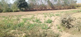 Commercial Land 10 Acre For Resale in Nawabganj Unnao  7916294