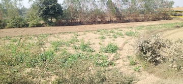 Commercial Land 10 Acre For Resale in Nawabganj Unnao  7916294