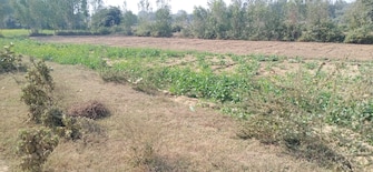 Commercial Land 10 Acre For Resale in Nawabganj Unnao  7916294