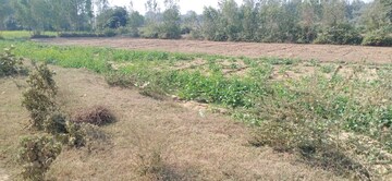 Plot Area in  Land at Nawabganj – for Sale
