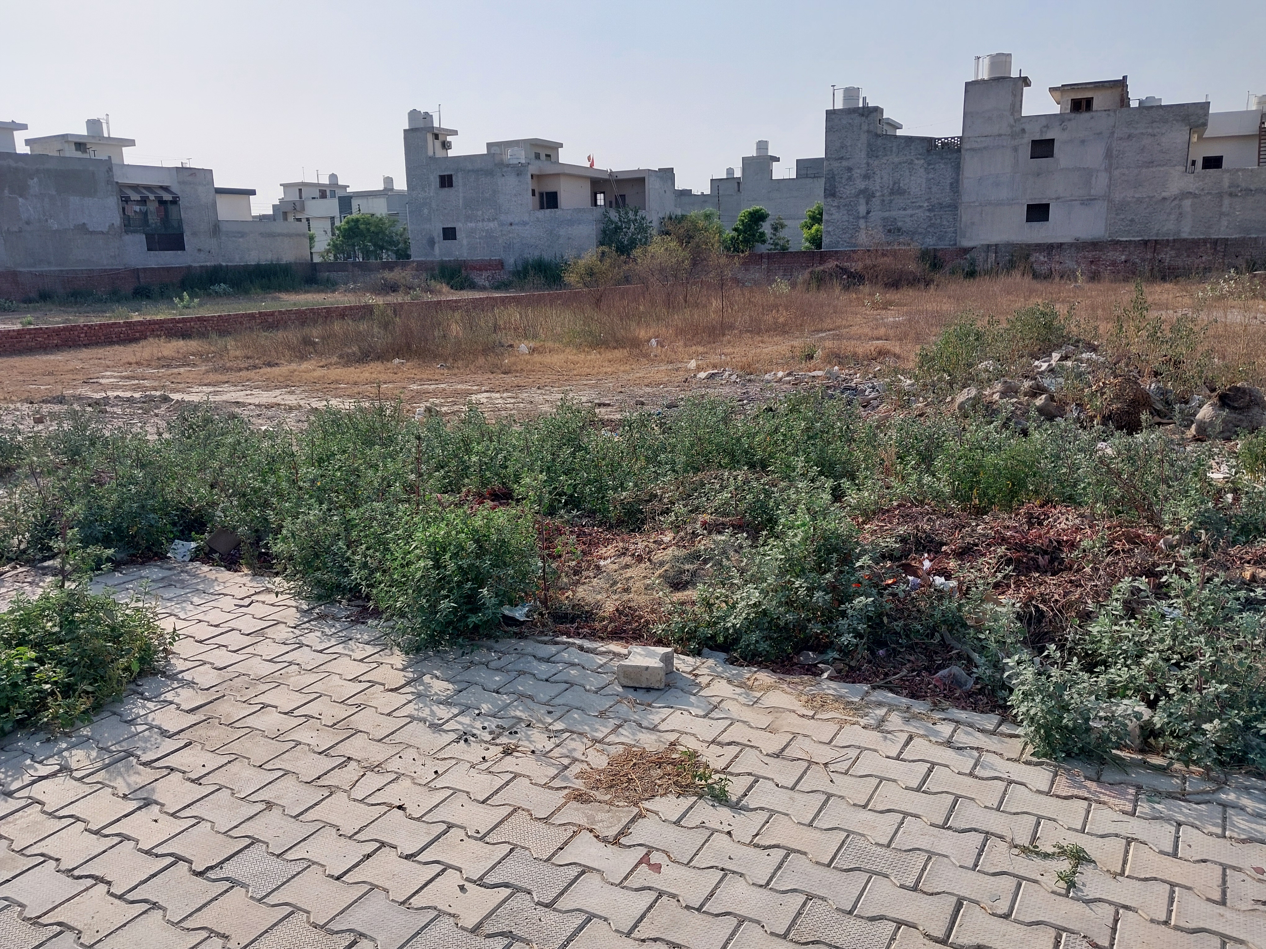 Plot For Sale in Rajguru Nagar