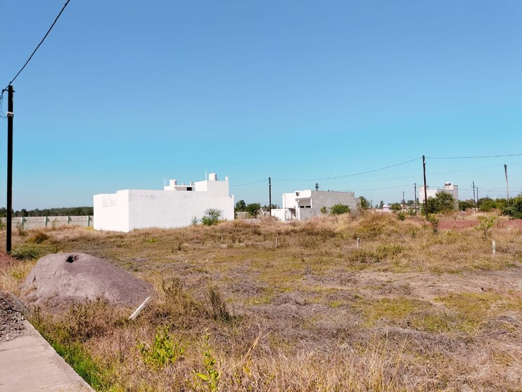 undefined, mandir hasaud  547 Sq.Ft. Plot In Mandir Hasaud Raipur 7916383