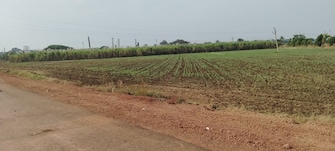 Commercial Land 2420 Sq.Ft. For Resale in Ramji Nagar Nellore  7916552