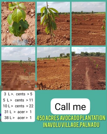 Commercial Land 1064 Sq.Yd. For Resale in Buja Buja Nellore Rural Nellore  7916563