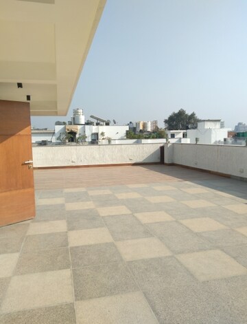 4 BHK Builder Floor For Resale in Green Park Delhi  7916636