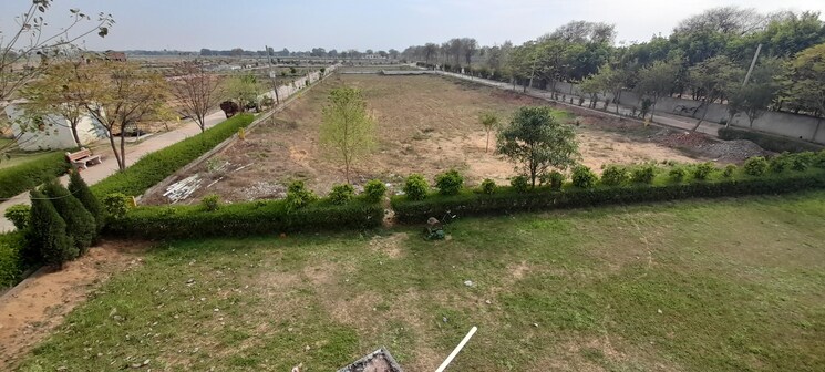 undefined, jewar  170 Sq.Yd. Plot In Jewar Greater Noida 7916714