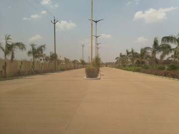Plot Area in  Plot at Pandri – for Sale