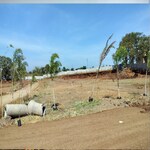 1089 Sq.Ft. Plot in Omkara Farm House Plot 