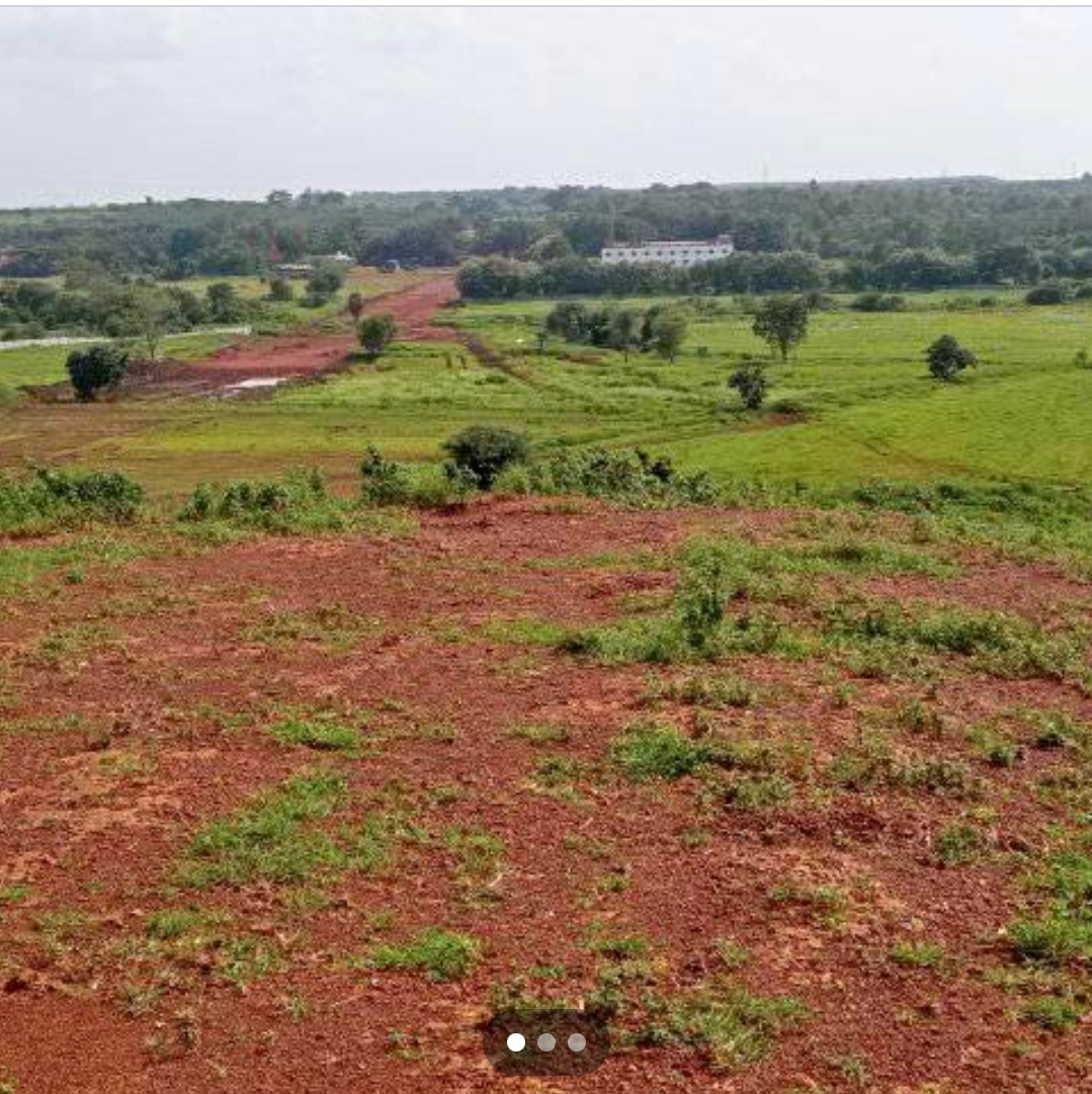 Plot For Sale in Myron Dynasty 111 Acers D