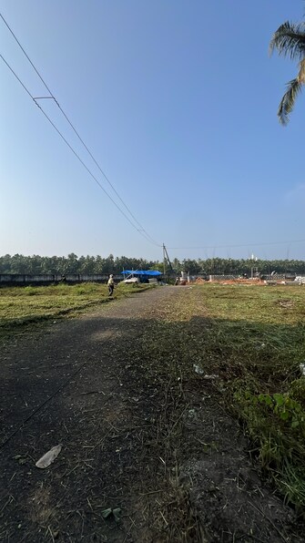 Plot For Resale in Mundoor Thrissur  7917074