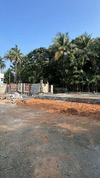 Plot For Resale in Mundoor Thrissur  7917074