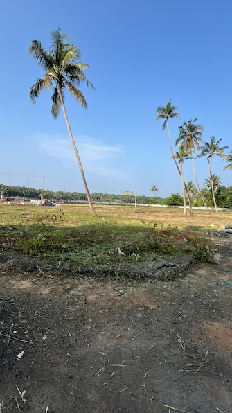 Plot For Resale in Mundoor Thrissur  7917074