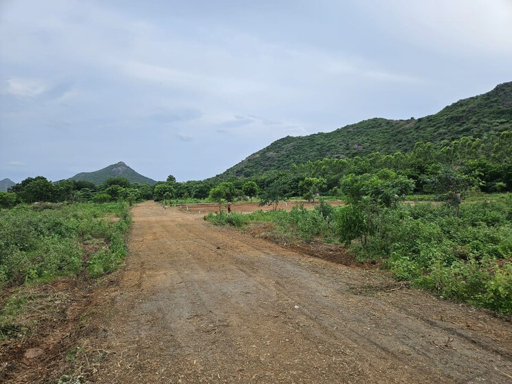 undefined, amaravathi  167 Sq.Yd. Plot In Amaravathi Guntur 7917235