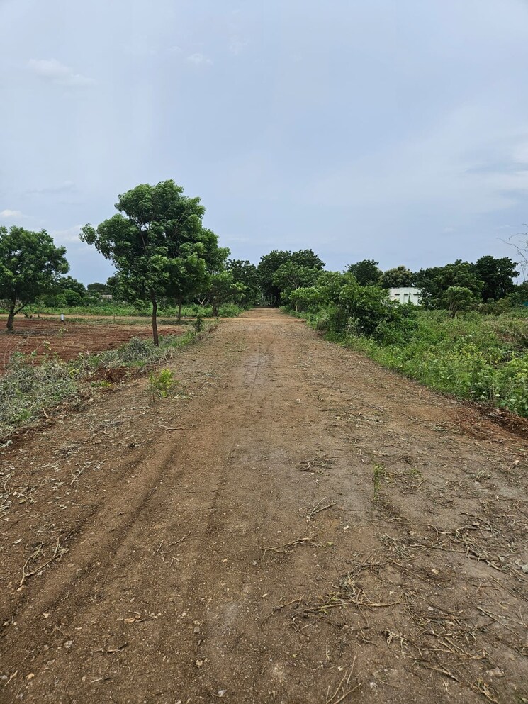 undefined, amaravathi  167 Sq.Yd. Plot In Amaravathi Guntur 7917235