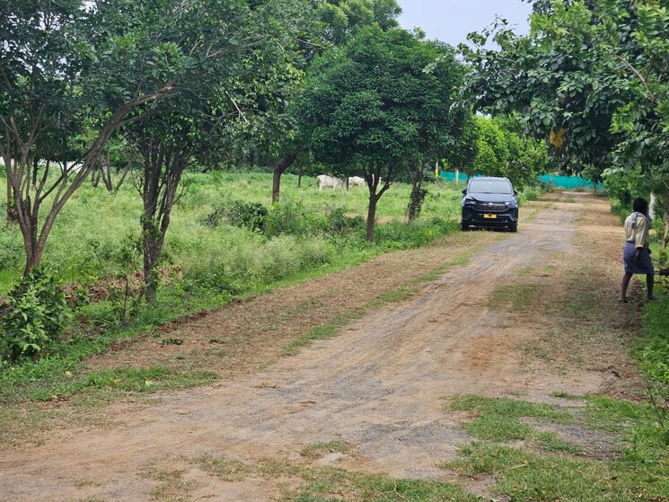 undefined, amaravathi  167 Sq.Yd. Plot In Amaravathi Guntur 7917235