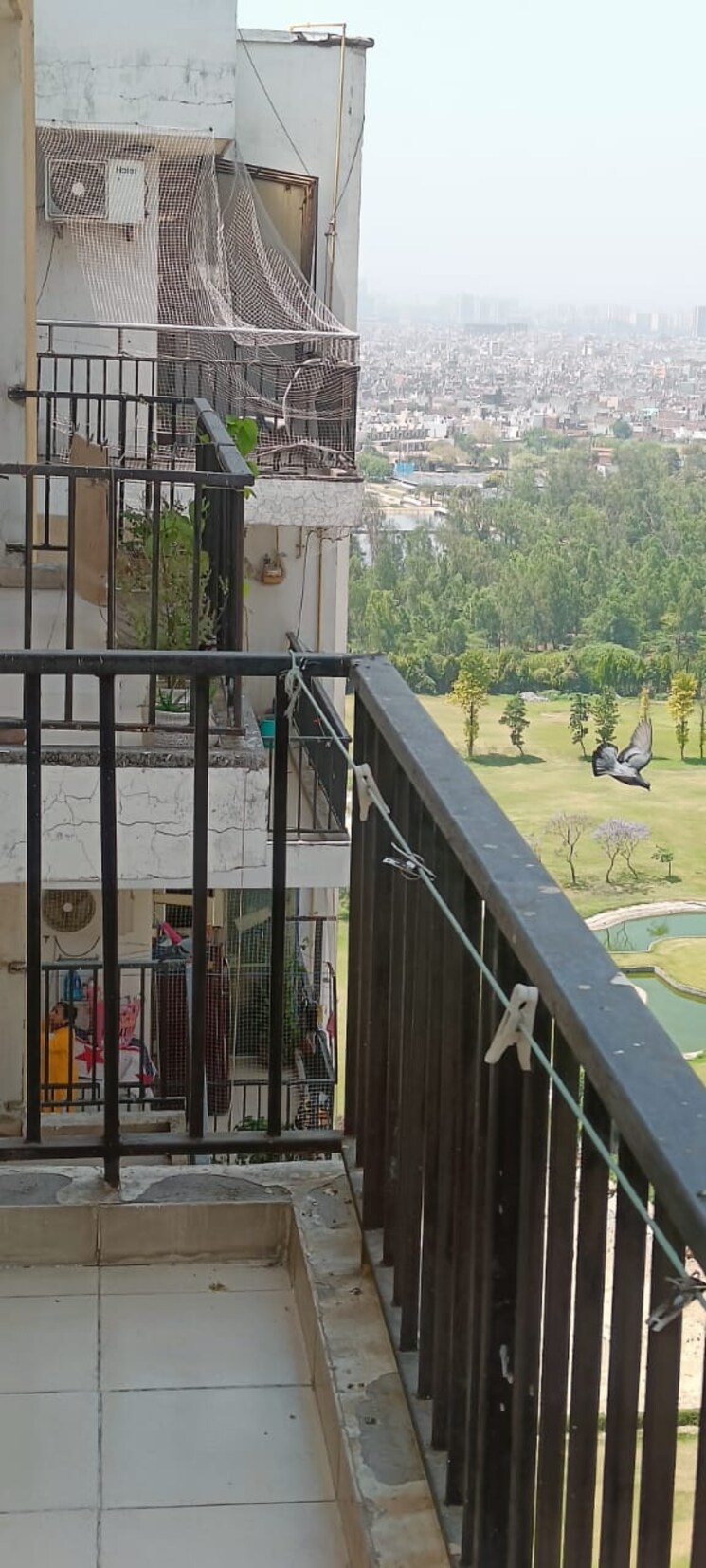 Balcony, panchsheel-wellington 2 Bedroom 643 Sq.Ft. Apartment In Dundahera Ghaziabad 7917300