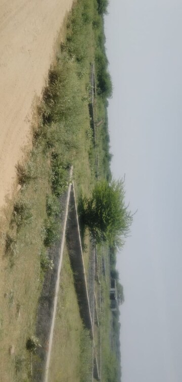 Plot Area in  Plot at Deri Skaner – for Sale