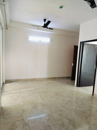 3 BHK Apartment For Resale in Amrapali Riverview Amrapali Leisure Valley Greater Noida  7917427