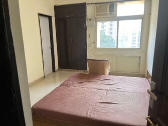 3 BHK Apartment For Rent in DLF Royale Residences Dlf Phase I Gurgaon  7917426