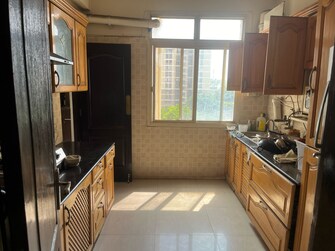 3 BHK Apartment For Rent in DLF Royale Residences Dlf Phase I Gurgaon  7917426