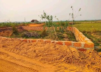 Plot For Resale in Patrapada Bhubaneswar  7917641