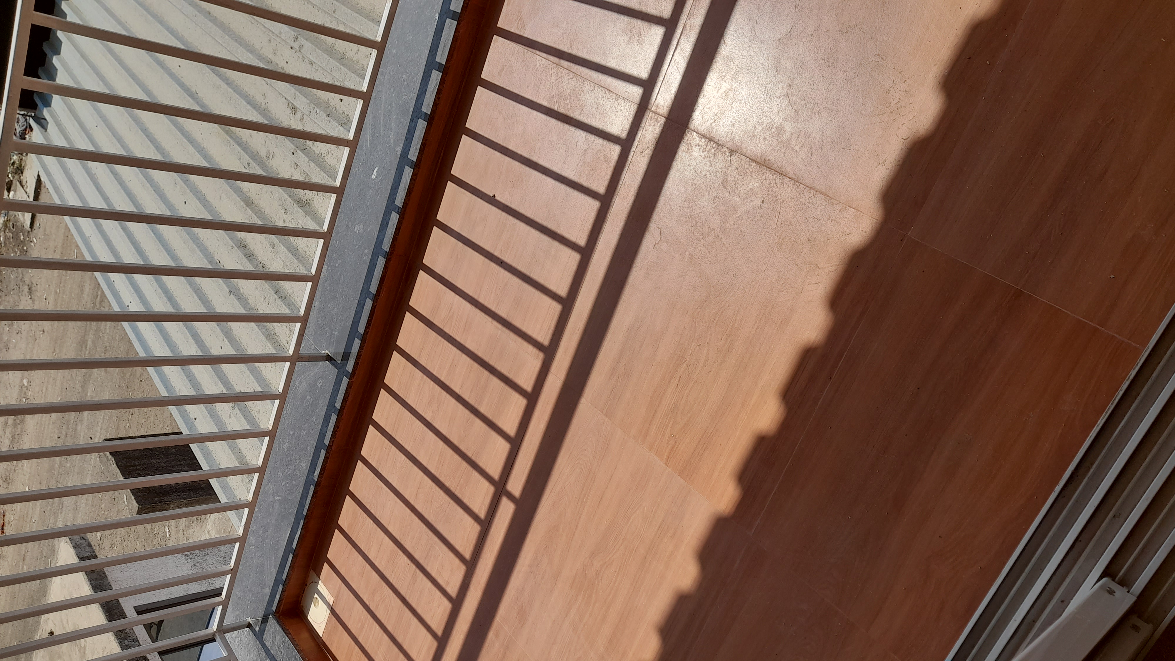 1 BHK Apartment For Sale in Ritu Gardenia