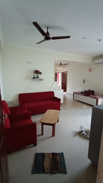 3 BHK Apartment For Rent in JKG Palm Court Noida Ext Sector 16c Greater Noida  7917842